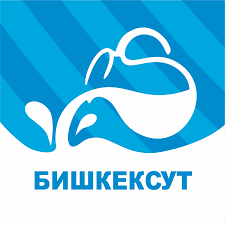 Logo Nurzaman